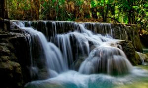 30 JANVIER : Luang Prabang. Méditation à la cascade de Kuang Si. Visite de Laos Buffalo Farm, du Musée du Palais Royal et promenade autour de la ville avec Francis Engelmann, expert de l’UNESCO. Promenade vers Wat Xieng Thong.