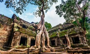 4 FEVRIER : Siem Reap Lever du soleil à Angkor Wat. Un trajet jusqu'à Roluos, inclut Bakong, Lolei et Preah Ko. Une promenade en bateau privé sur le Tonle Sap à Kampong Phluk.